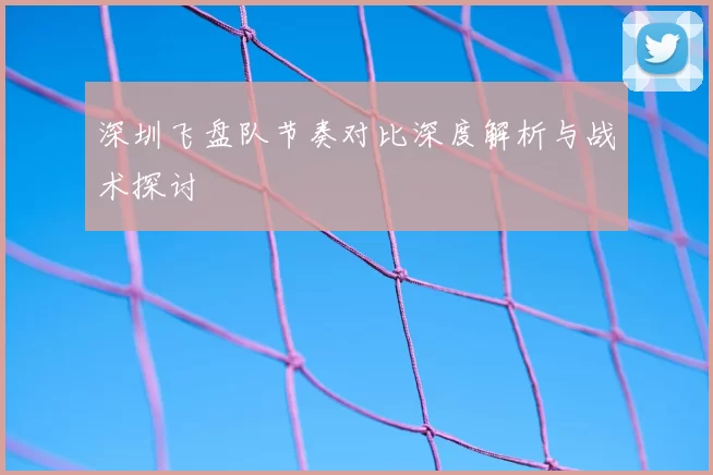 深圳飞盘队节奏对比深度解析与战术探讨