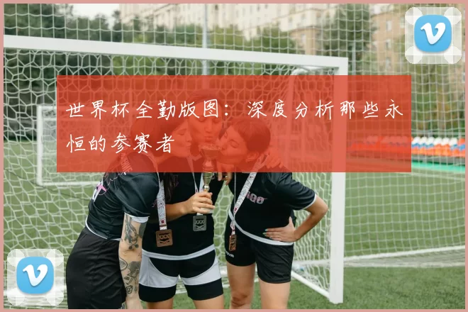 世界杯全勤版图：深度分析那些永恒的参赛者
