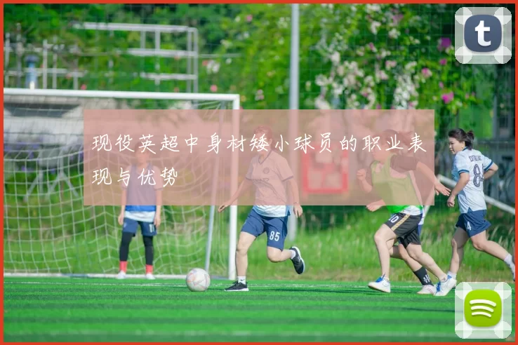 现役英超中身材矮小球员的职业表现与优势