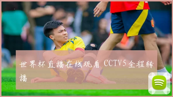 世界杯直播在线观看 CCTV5全程转播