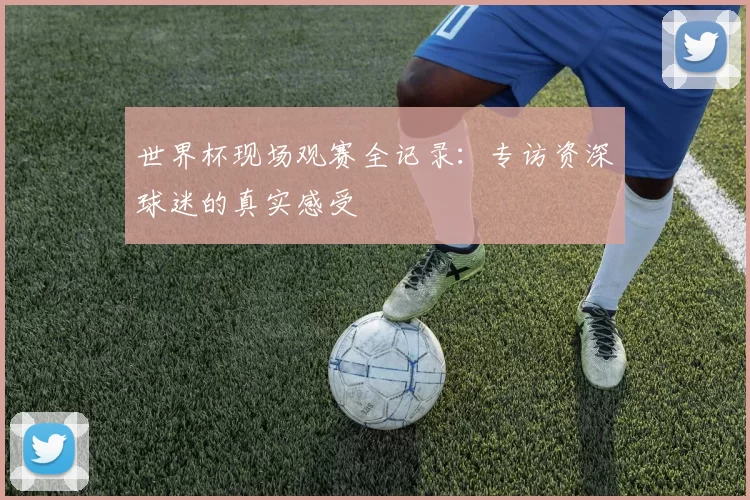 世界杯现场观赛全记录：专访资深球迷的真实感受