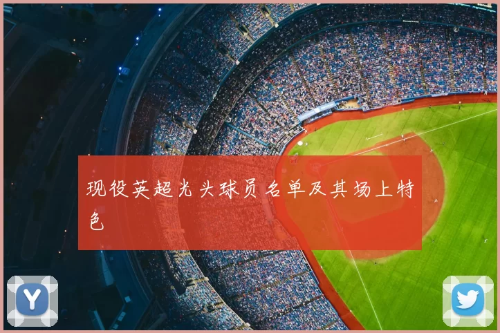 现役英超光头球员名单及其场上特色