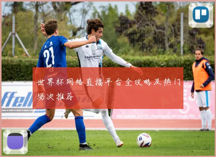 世界杯网络直播平台全攻略及热门场次推荐