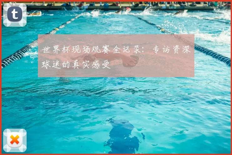 世界杯现场观赛全记录：专访资深球迷的真实感受