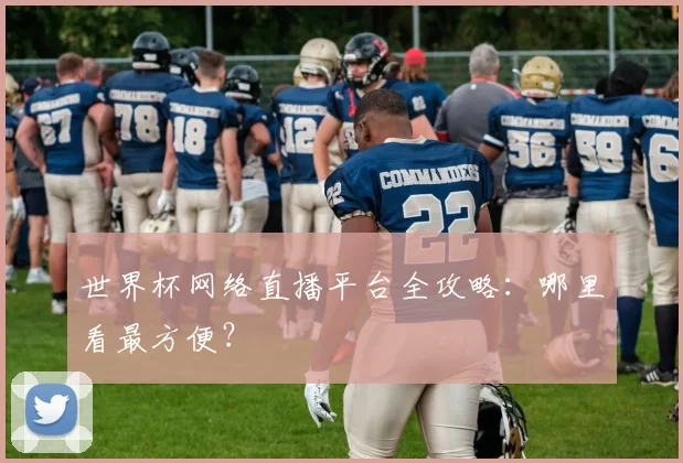 世界杯网络直播平台全攻略:哪里看最方便?