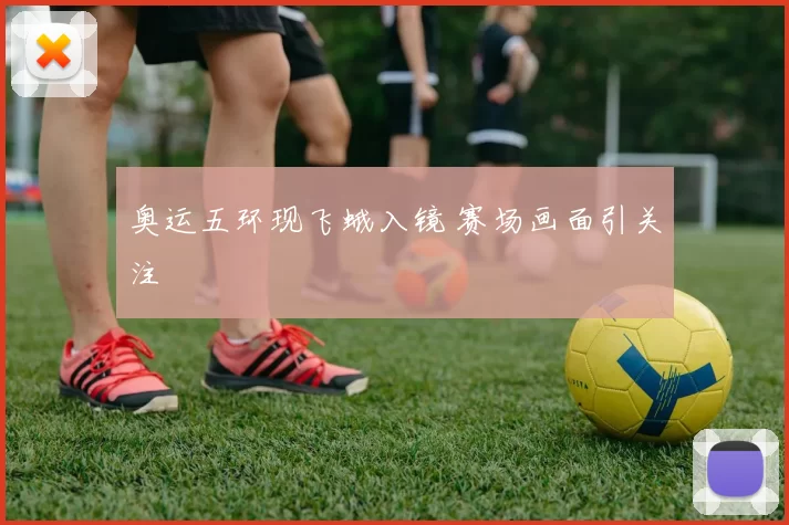 奥运五环现飞蛾入镜 赛场画面引关注