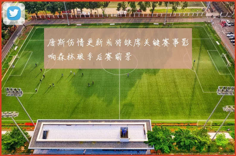 唐斯伤情更新或将缺席关键赛事影响森林狼季后赛前景