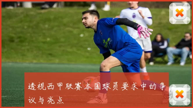 透视西甲联赛本国球员要求中的争议与亮点