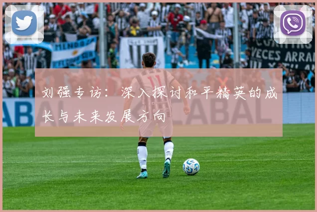 刘强专访：深入探讨和平精英的成长与未来发展方向