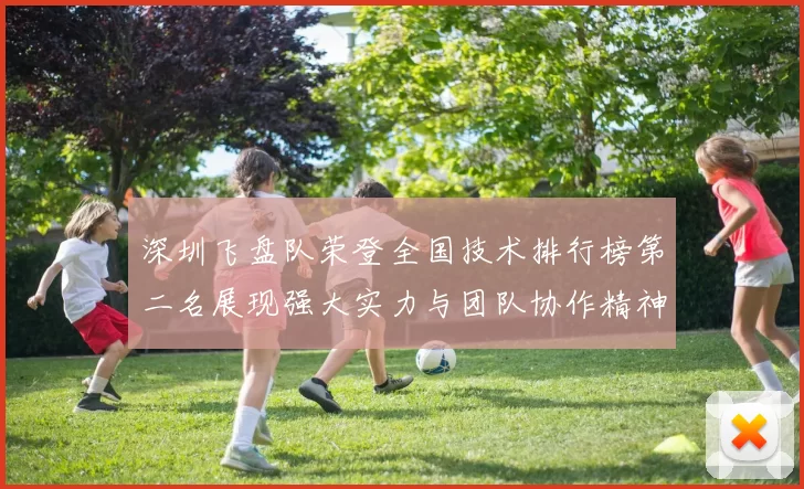 深圳飞盘队荣登全国技术排行榜第二名展现强大实力与团队协作精神