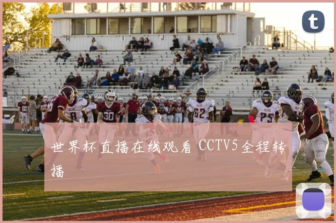 世界杯直播在线观看 CCTV5全程转播