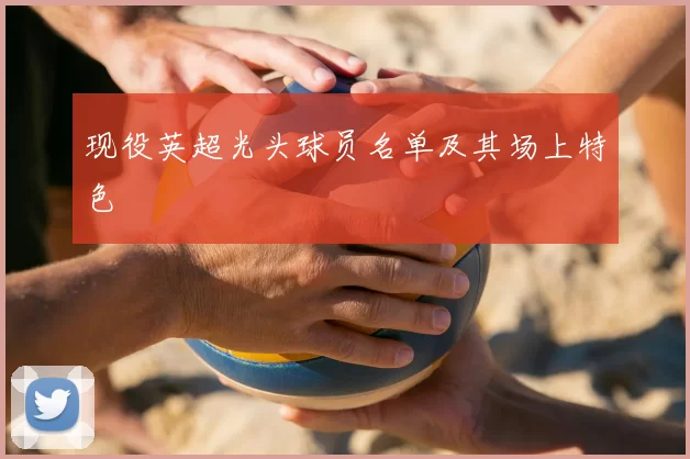现役英超光头球员名单及其场上特色
