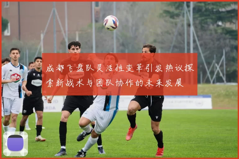 成都飞盘队灵活性变革引发热议探索新战术与团队协作的未来发展