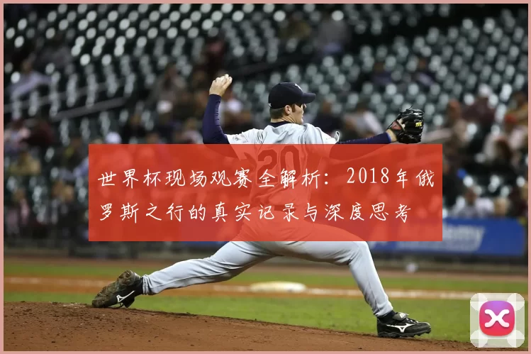 世界杯现场观赛全解析:2018年俄罗斯之行的真实记录与深度思考