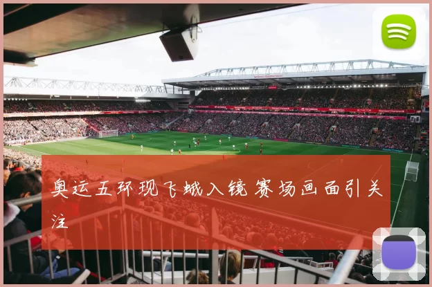 奥运五环现飞蛾入镜 赛场画面引关注