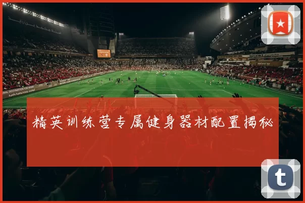 精英训练营专属健身器材配置揭秘