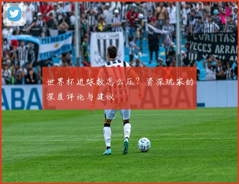 世界杯进球数怎么压？资深玩家的深度评论与建议