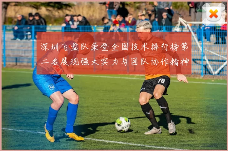 深圳飞盘队荣登全国技术排行榜第二名展现强大实力与团队协作精神